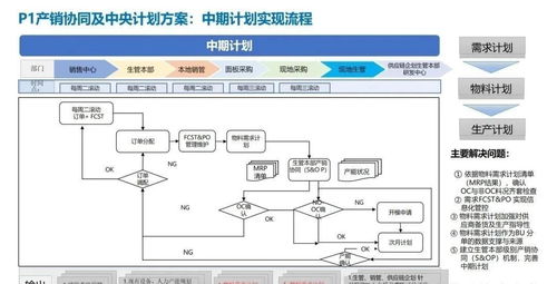 企業(yè)關(guān)鍵業(yè)務(wù)流程與信息系統(tǒng)集成服務(wù) 戰(zhàn)略規(guī)劃、產(chǎn)品開發(fā)、物料采購與產(chǎn)銷協(xié)同